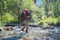 Hiker with backpack crossing mountain river. Hiking river crossing on the stones.