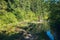 Hiker with backpack goes on a country road