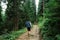 Hiker with a backpack on his back walks on a mountain trail on a hike, back view. Hiking in the mountains concept