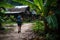 hiker with backpack walking towards a rustic lodge in a tropical setting