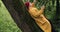 Hiker in bandana and yellow raincoat is resting in forest leaning against tree