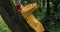 Hiker in bandana and yellow raincoat is resting in forest leaning against tree