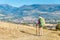 Hiker with big backpack stands on the rock and enjoys the valley view in Spanish Pyrenees mountains