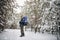 Hiker in Blue Parka Posing Amidst Winter Forest Path