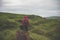 Hiker and Border Collie Exploring Fairy Glen on the Isle of Skye