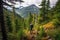 hiker climbing overgrown spruce forest trail, with view of the valley below