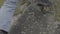 Hiker climbing rocks reaching top, low angle shot feet boots