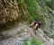 Hiker climbing on a safety cable