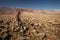 A hiker in Death Valley National Park, Geology, sand