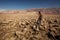 A hiker in Death Valley National Park, Geology, sand