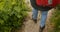 Hiker descending on mountain trail path and walking securely