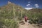 Hiker in the Desert - Saguaro National Park, Arizona