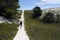 Hiker on a Dune Trail