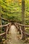 Hiker Footbridge