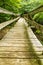 Hiker Footbridge along the Appalachian Trail