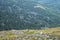 Hiker and forest, Babia hora hill Slovakia