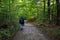 Hiker on forest path through deciduous forest