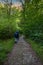 Hiker on forest path through deciduous forest