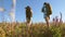 Hiker Girl, movement to victory. Teamwork travelers. Happy mom and daughters, a little baby travel across the field with