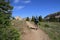 Hiker on Helen Lake Trail