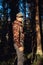 Hiker hiking in autumn forest. Male hiker in camouflage jacket with backpack looking to the side walking in forest