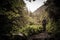 Hiker with hiking poles in a mountain forest