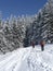 Hiker at Hornle mountain tour, Bavaria, Germany