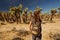 Hiker in joshua tree national park