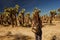 Hiker in joshua tree national park