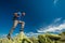 Hiker jumps over stones