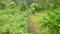 A hiker with a large backpack walks along a narrow path in the forest