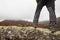 Hiker legs on birch trunk admire autumnal colorful forest landscape