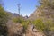 Hiker looking at the remains of a century plant stalk