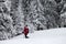 Hiker makes his way on slope with new-fallen snow in snow-covered forest at gray winter day after snowfall.