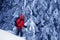 Hiker makes his way on snowy slope in snow-covered magic forest