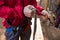 Hiker man adjusting his harness in the forest