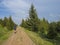 Hiker man with backpack walking on footpath in Jizera mountain o