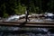 Hiker man hiking crossing river walking in balance on fallen tree trunk