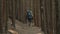 Hiker man with trekking backpack on his shoulders walking on trail in dark autumn woods.