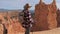 A hiker mature woman goes along the rock edge in the Bryce Canyon, Utah, USA