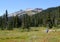 Hiker in Meadows of Callaghan Valley