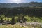 Hiker in the middle of the mountains and forests watching a beautiful scenic view, Pyrenees