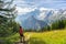 Hiker resting in front of majestic Monte Bianco (Mont Blanc)