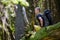 Hiker rests on a trail in a wood