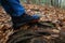 Hiker`s boot steps on tree roots on hiking trail