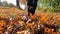 Hiker\'s journey through autumn: close-up of walking feet in forest foliage