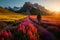 A hiker\\\'s perspective of walking through a field of colorful wildflowers with a pristine mountain backdrop