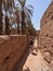 A hiker in a scenic agriculture landscape in the beautiful Draa valley, palm groves surrounding the hiking path