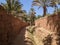 A hiker in a scenic agriculture landscape in the beautiful Draa valley, palm groves surrounding the hiking path