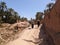 A hiker in a scenic agriculture landscape in the beautiful Draa valley, palm groves surrounding the hiking path